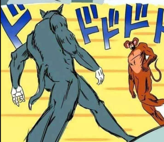 新泻 vs 群马，两个日本邻居，谁更值得你走一趟？