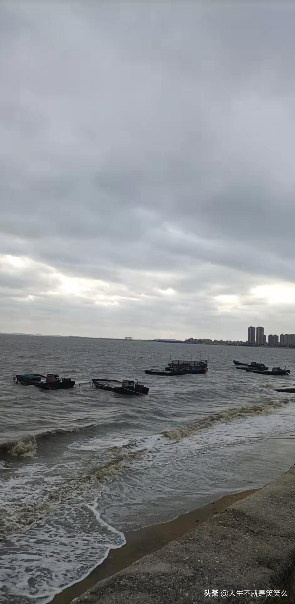 福建vs深圳视频直播，一场海风与霓虹的隔空对决
